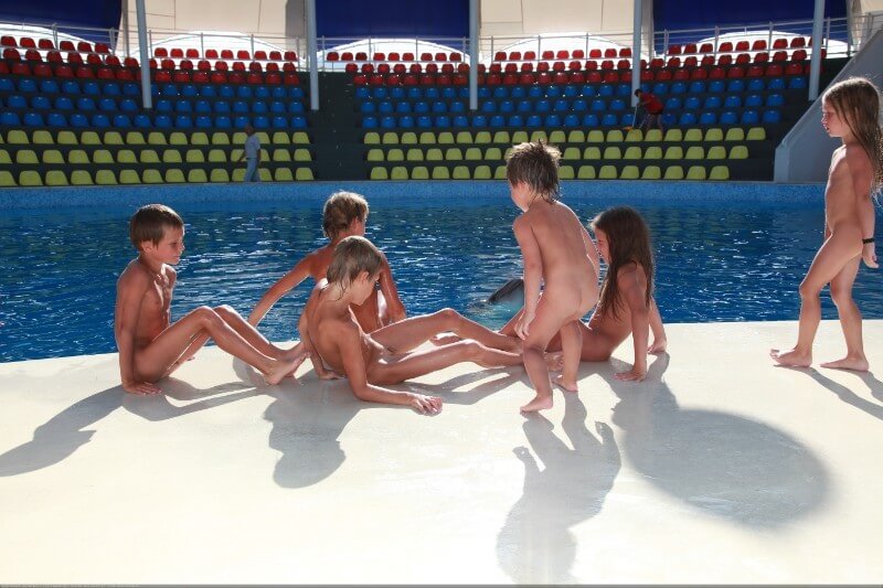 Swimming dolphins photo gallery - Naturism and nudism value openness of mind and body