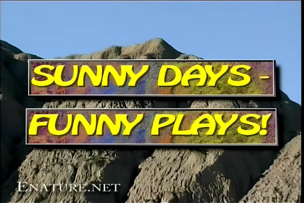 Enature - Sunny Days – Funny Plays - Must always be without clothes