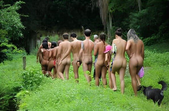 Lush Green Travels photos - A Private Club for Nature Lovers