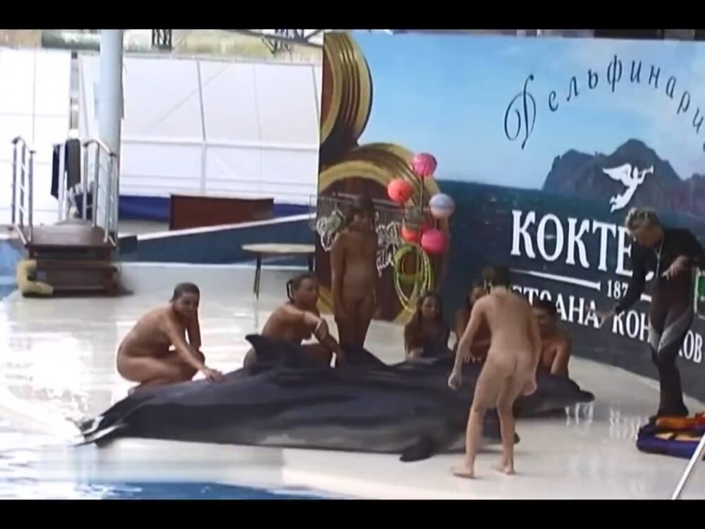 Relaxing at the dolphinarium - People in a State of Complete Nudity
